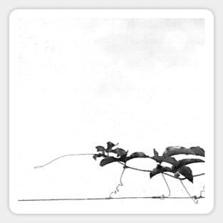 Black and white watercolor Passionflower Vine Climbing on Wire Magnet